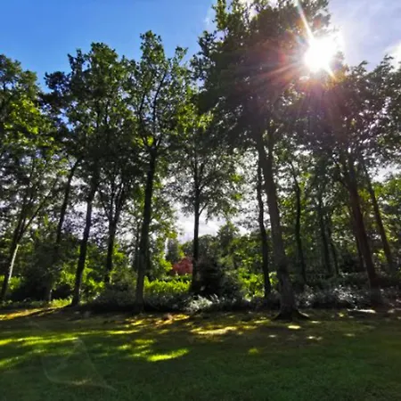 La Verdoyante -tennis Piscine-proche Pont L'evêque Hébergement de vacances Surville (Calvados)